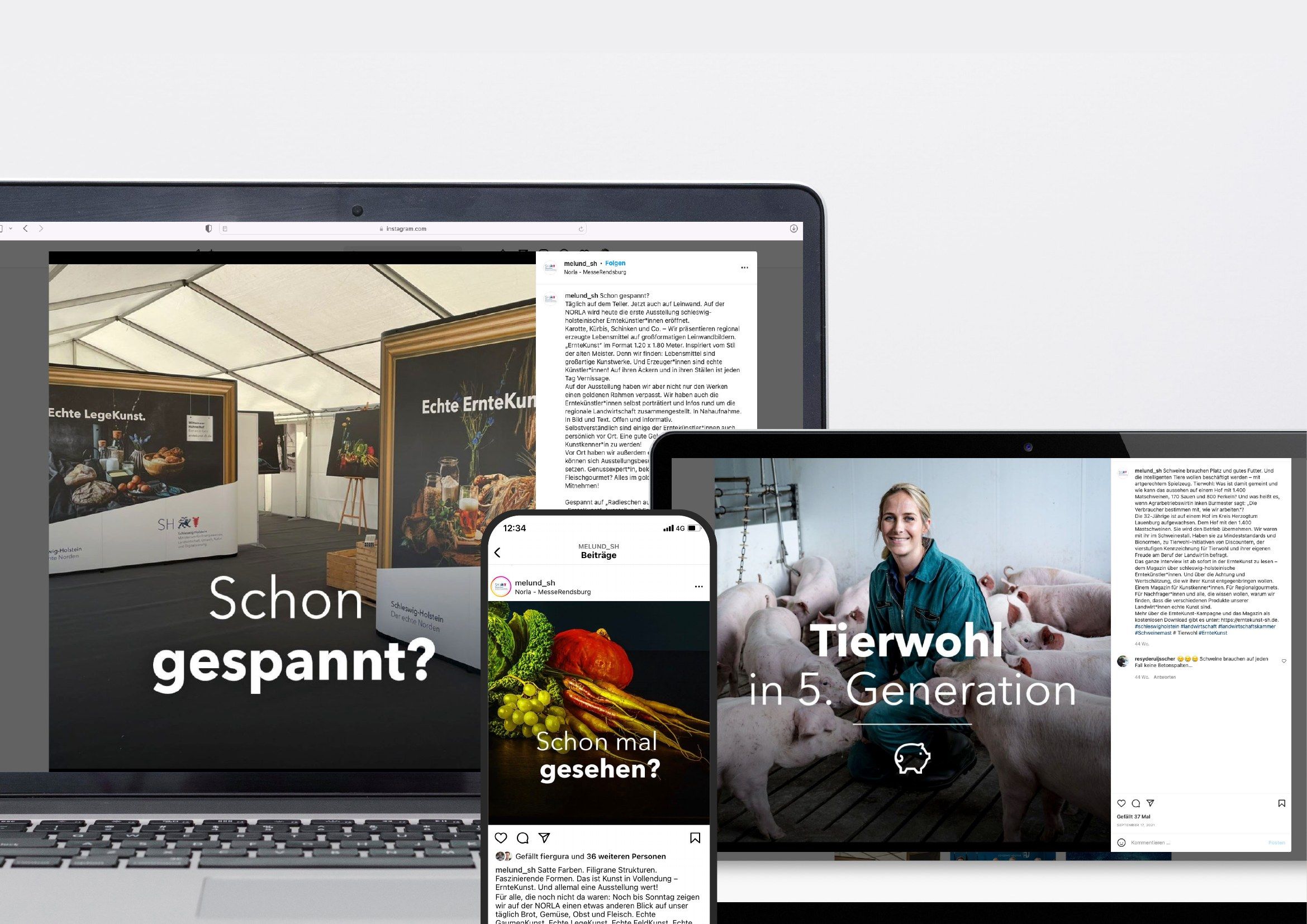 Social-Media-Motive der Kampagne auf Laptop und Smartphone